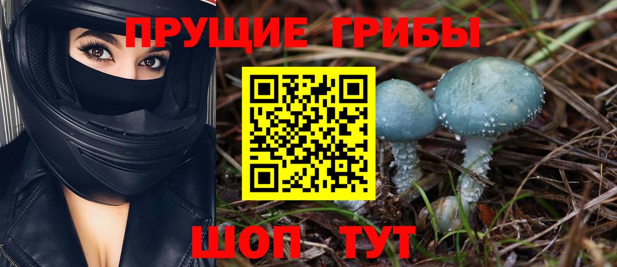 Псилоцибиновые грибы ЛСД Зеленокумск