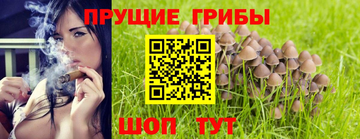 Галлюциногенные грибы мицелий  даркнет сайт  Зеленокумск  Вход с VPN 